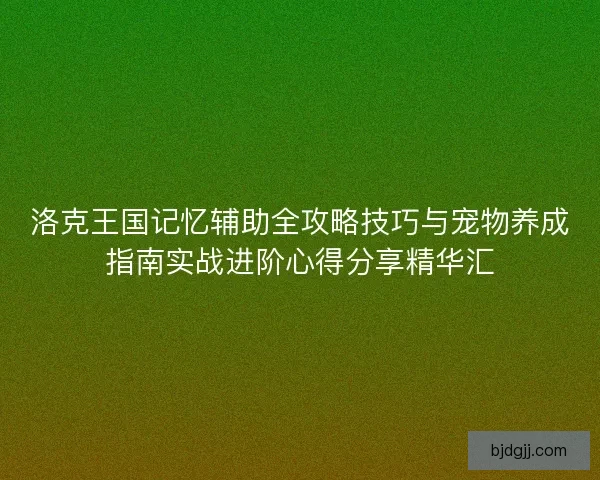 洛克王国记忆辅助全攻略技巧与宠物养成指南实战进阶心得分享精华汇